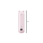 Camping Power Bank With Flashlight